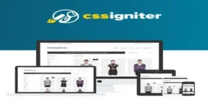 CSS Igniter Herringbone Woocommerce Theme [95% OFF]