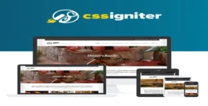 CSS Igniter Igloo WordPress Theme [95% OFF]