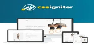 CSS Igniter Loge WooCommerce Theme [95% OFF]