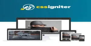 CSS Igniter Neto WooCommerce Theme [95% OFF]