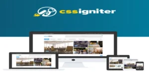 CSS Igniter Noozbeat WordPress Theme [95% OFF]