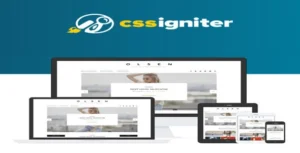 CSS Igniter Olsen Pro WordPress Theme [95% OFF]