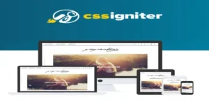 CSS Igniter Paperbag WordPress Theme [95% OFF]