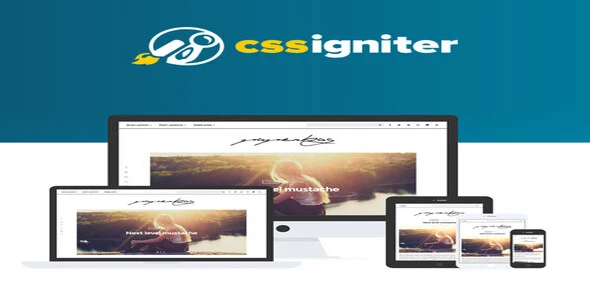 CSS Igniter Paperbag WordPress Theme [95% OFF]