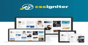 CSS Igniter Pinfinity WordPress Theme [95% OFF]