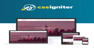 CSS Igniter Roxima WordPress Theme [95% OFF]