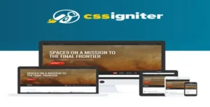 CSS Igniter Space9 WordPress Theme [95% OFF]