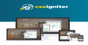 CSS Igniter Struct WordPress Theme [95% OFF]