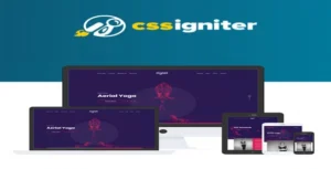 CSS Igniter Vigour WordPress Theme [95% OFF]