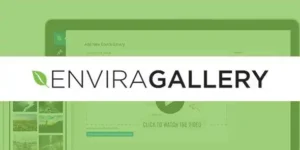 Free Download Envira Gallery Pro 1.13.4 [Latest Version]