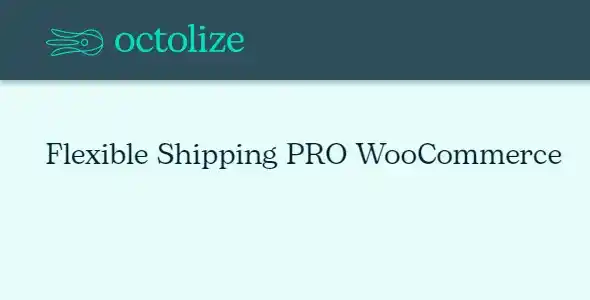 Free Download Flexible Shipping PRO WooCommerce 4.0.18 [Latest Version]