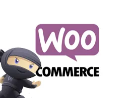 Free Download Invoice Payment Option for WooCommerce 1.4.4 [Latest Version]