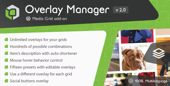 Free Download Media Grid Overlay Manager Add-on 3.0.0 [Latest Version]