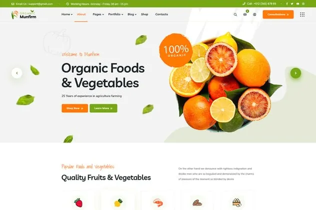 Free Download Munfirm – Organic Food Store WordPress Theme 1.0.3 [Latest Version]