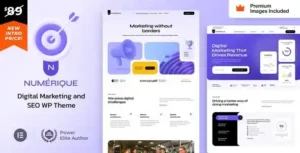 Free Download Numerique – SEO Digital Marketing WordPress Theme 25 [Latest Version]