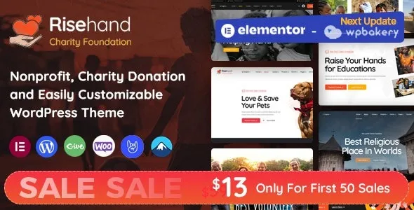 Free Download RiseHand – Charity & Donation WordPress Theme 1.2.7 [Latest Version]
