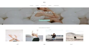 Free Download StudioPress Gallery Pro Genesis WordPress Theme 1.2.0 [Latest Version]