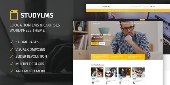 Free Download Studylms – Education LMS & Courses WordPress Theme 1.29 [Latest Version]