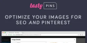 Free Download Tasty Pins Optimize Pinterest Images & SEO Plugin 2.4.2 [Latest Version]