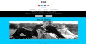 Free Download Themify Bold WordPress Theme 7.6.0 [Latest Version]