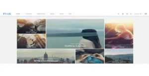 Free Download Themify Peak WordPress Theme 7.6.5 [Latest Version]