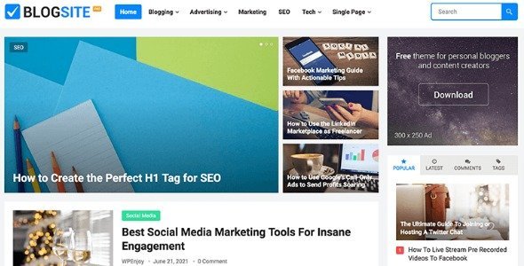 Free Download WP Enjoy BlogSite Pro Theme 1.1.2 [Latest Version]