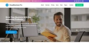 Free Download WP Enjoy Visual Business Pro Theme 1.0.5 [Latest Version]