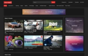 Free Download WP Enjoy YouVideo Pro Theme 1.0.1 [Latest Version]