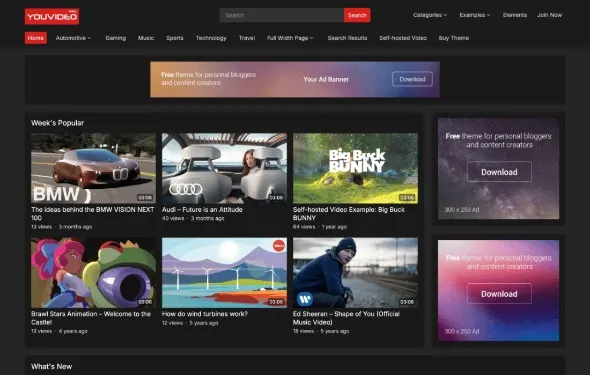 Free Download WP Enjoy YouVideo Pro Theme 1.0.1 [Latest Version]