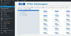 Free Download WP File Manager Pro Plugin For WordPress 8.4.3 [Latest Version]