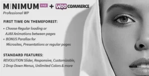 MINIMUM – Professional WordPress Theme [95% OFF]