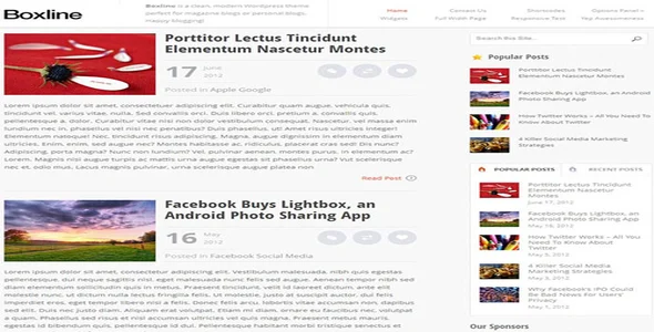 MyThemeShop Boxline WordPress Theme [95% OFF]