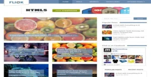 MyThemeShop Flick WordPress Theme [95% OFF]