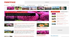 MyThemeShop Frontpage WordPress Theme [95% OFF]