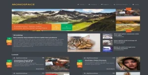 MyThemeShop Monospace WordPress Theme [95% OFF]