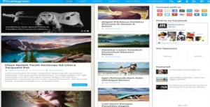 MyThemeShop Pinstagram WordPress Theme [95% OFF]