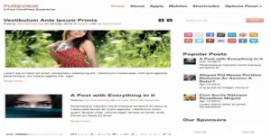 MyThemeShop Pureview WordPress Theme [95% OFF]