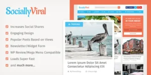 MyThemeShop SociallyViral WordPress Theme [95% OFF]