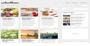MyThemeShop Urban WordPress Theme [95% OFF]