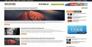 MyThemeShop Wildfire WordPress Theme [95% OFF]