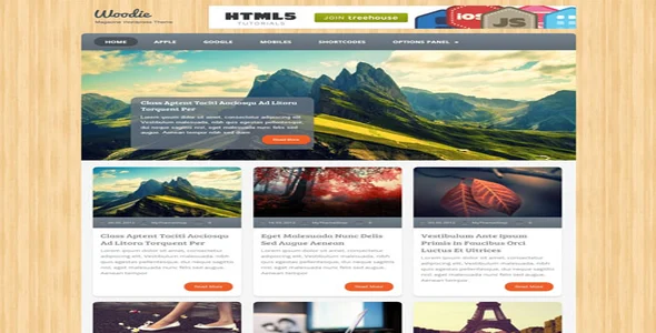 MyThemeShop Woodie WordPress Theme [95% OFF]